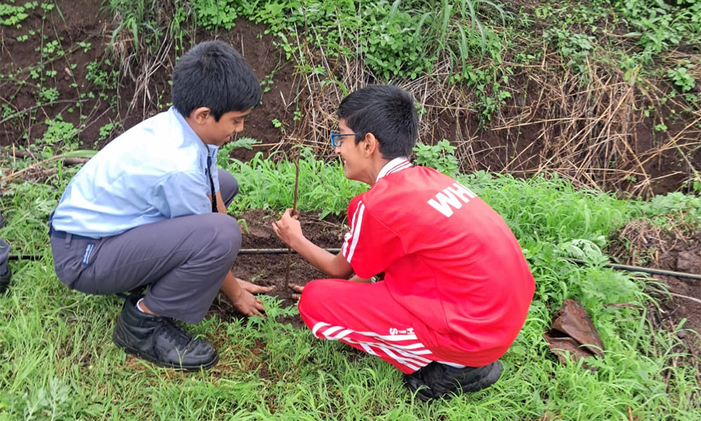 Our Varied Development Initiatives